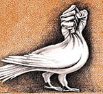روند پیچیده صلح